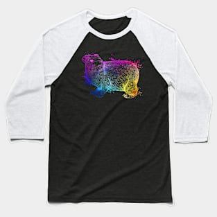 Colorful Hyrax Baseball T-Shirt